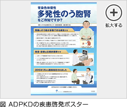 図 ADPKD／多発性嚢胞腎の疾患啓発ポスター