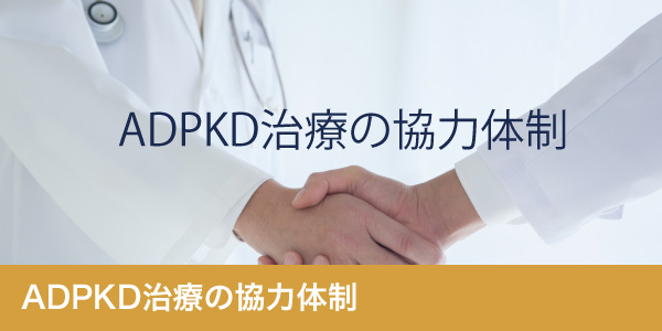 ADPKD治療の協力体制