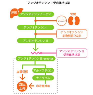 アンジオテンシンⅡ受容体拮抗薬